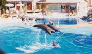 04 Sea World